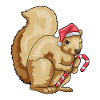 Squirrel Christmas candy cane