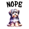 Havanese Nope Hundchen Farbenspiel