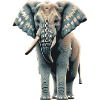 Blue Elephant