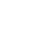 Shit Show Supervisor