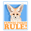 Fennec Desert Foxes Fox Gift