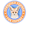 Fennec Fox Desert Foxes Gift