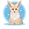 Fennec Fox Desert Foxes Gifts