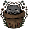 Flower cat
