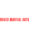 MMA SMASH
