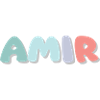 Nom - Amir