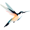 Farbenfroher Kolibri
