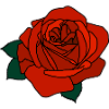 Red Rose
