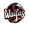 Waifus women's baseball team