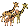 Giraffe Africa Safari Giraffes