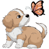 Cute Dog Play with Butterfly