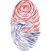 Dynamic waves