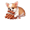 Chihuahua loves spare ribs