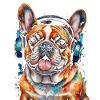 Casque Bouledogue Français Frenchie Dog
