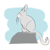 Illustrated design with Viscacha