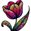 Tulipe