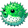 Blowfish