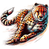 Cheetah