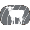 Vegan Meat Plant-Based