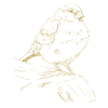 Illustrated designs with a sparrow