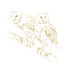 Illustrated designs with owls
