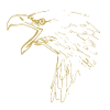 Illustrated designs with eagle