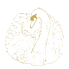 Illustrated designs with swan