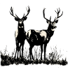 La chasse comme tradition et nécessité