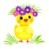 Little chicken