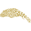 Illustrated designs with fish