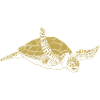 Illustrated designs with turtle