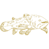 Illustrated designs with coelacanth