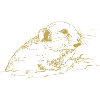 Illustrated Designs with Mouse