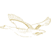 Illustrated designs with goose