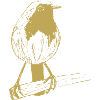 Illustrated designs with robins