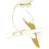 Illustrated designs with bird