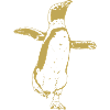 Illustrated Designs with Penguin