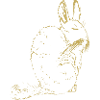 Illustrated designs with Viscacha