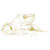 Illustrated designs with toad