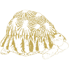 Illustrated designs with turtle