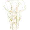 Illustrated designs with elephant