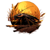 Cockroach Kakerlaken Kakerlake