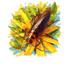 Cockroach cockroaches cockroach