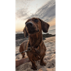 Original Dachshund Customization