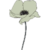 Poppy Beige