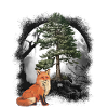 Fuchs Füchse Waldbewohner Waldtiere