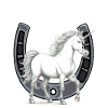 Hoefijzer Eenhoorn Eenhoorns Paard Paarden
