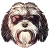 Havanese, Dog, Sunglasses, Summer
