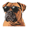 Bullmastiff, Dog, Sunglasses, Summer