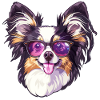 Continental Miniature Spaniel Papillon